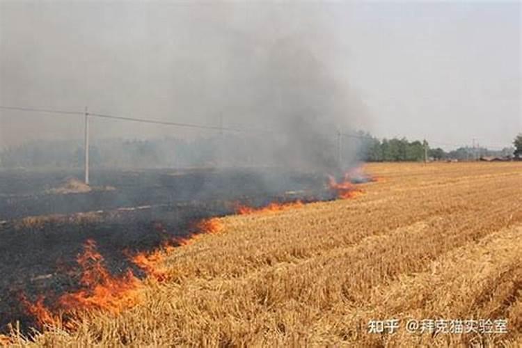 烧过的金纸灰可以回收去干什么 民间祭祀用品