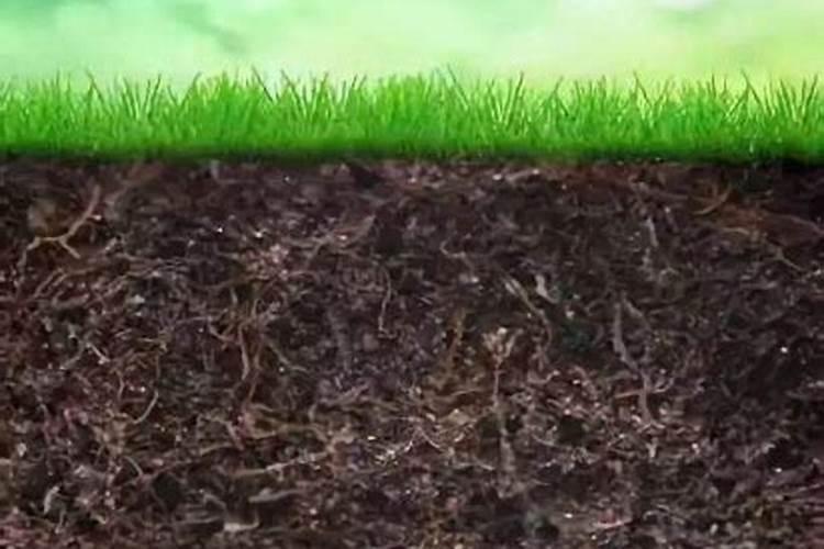 红糖十尿素十磷肥一亩用多少？