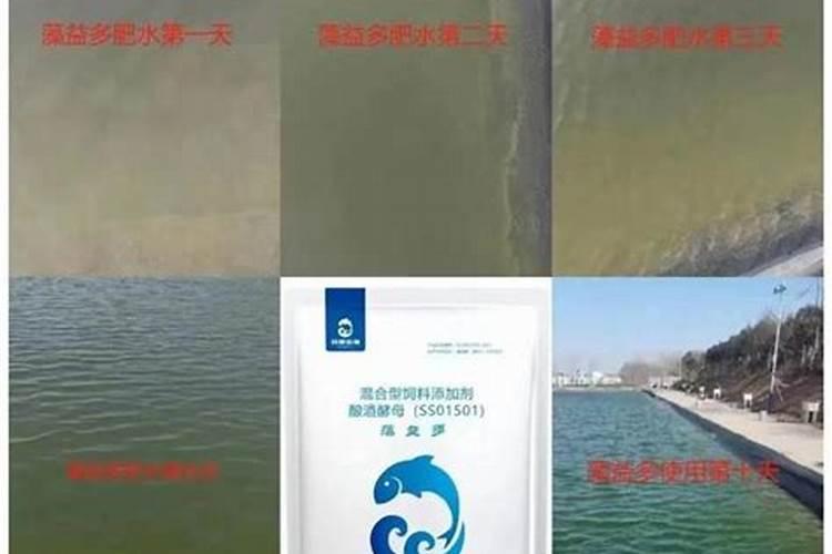 如何施用硼肥