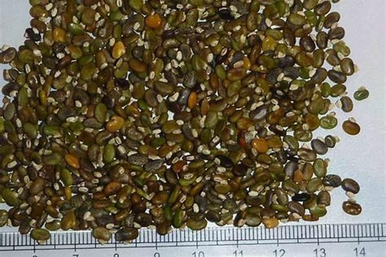 毛豆快熟时还用浇水施肥吗？用什么肥好