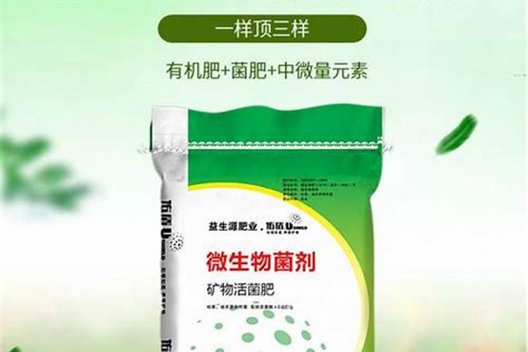 怎么给绿萝施肥