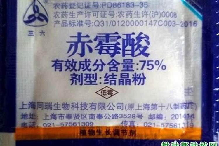 昆明手工红糖生产加工