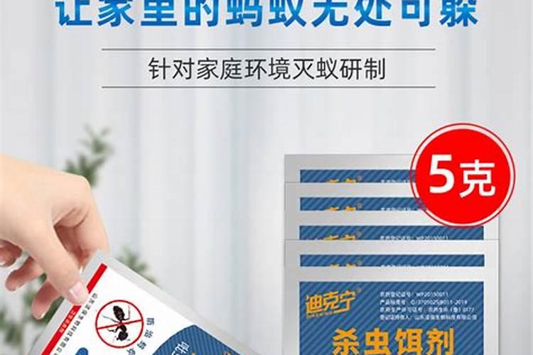 如何搭棚种植砂仁？