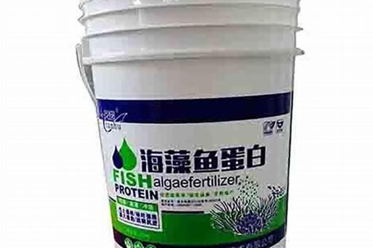 盆栽多肉植物施什么肥 该如何施肥