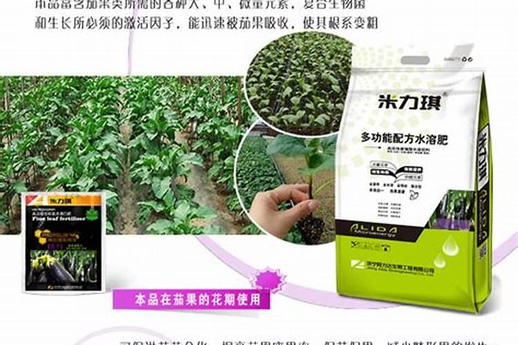 芹菜用什么肥料长得快