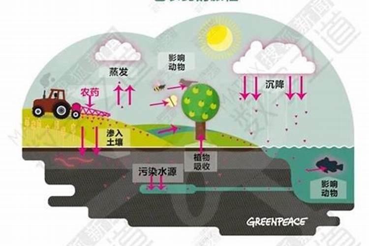 小区绿化怎么防治病虫害