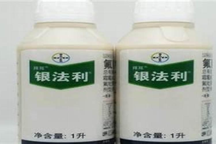 西红柿早疫病怎样预防？什么原因得的？