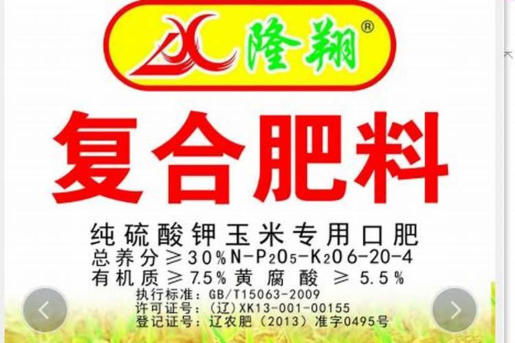 玉米种植过密可以摘叶吗？
