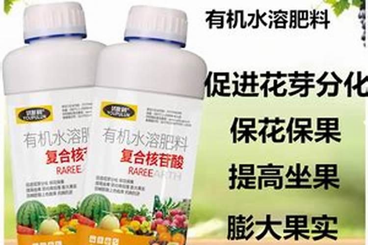 叶面肥都有哪些种类？不同种类的叶面肥怎么正确使用？