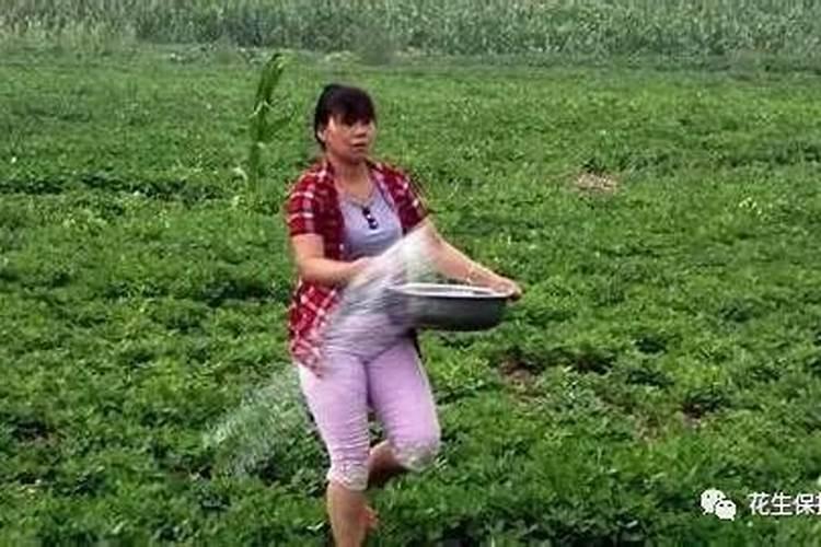 花生肥氮磷钾配方
