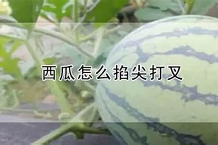 烂香蕉肉怎么制作花肥,香蕉肉烂了可以做肥料吗