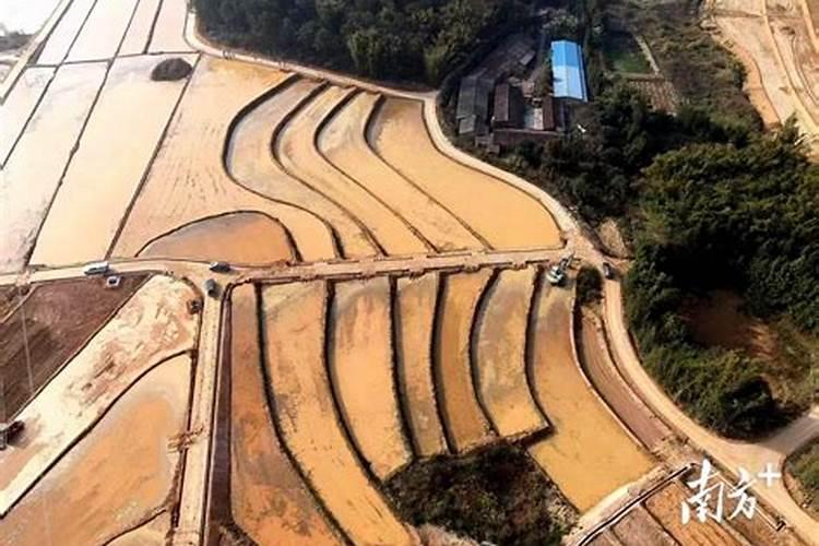 红薯种植需要施用钙肥吗