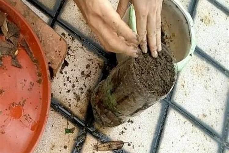 堆肥的制作方法
