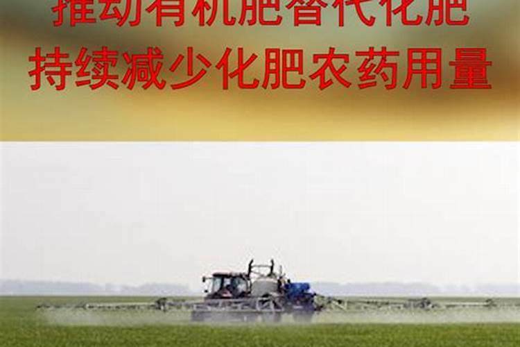 不能使用化肥农药的产品是什么