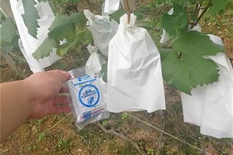 副产磷酸是什么