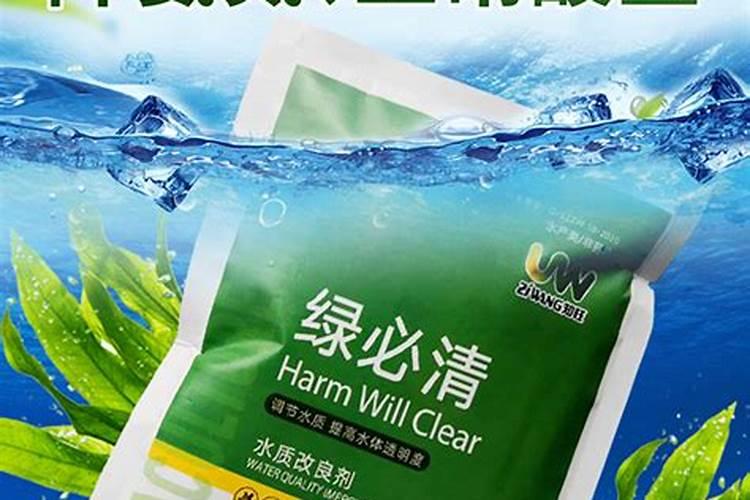 鱼塘怎么净化水质