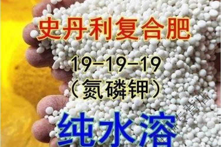 种草莓一亩需要什么肥料,请详细点,不懂勿答