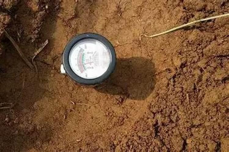 甘蔗种植方法和管理 怎样种植甘蔗如何管理