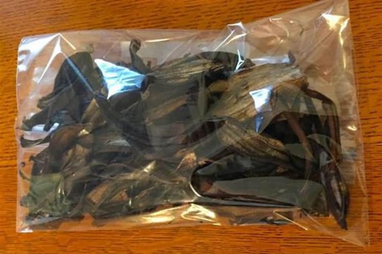 月季修剪后怎样施肥选择什么肥料好