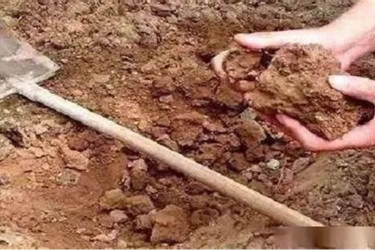 怎么样让土壤变成酸性