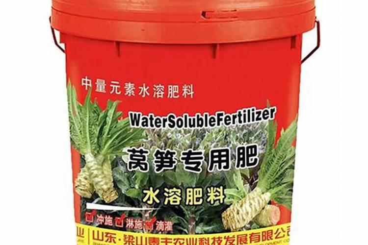 冬季种植什么蔬菜,适合冬季种植蔬菜有哪些？