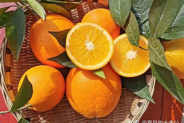 家乡的土特产脐橙作文