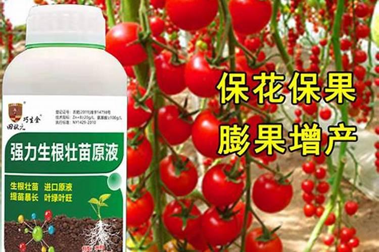...加磷酸二氢钾加芸苔素加红糖它的效果对沙糖桔保果好吗？