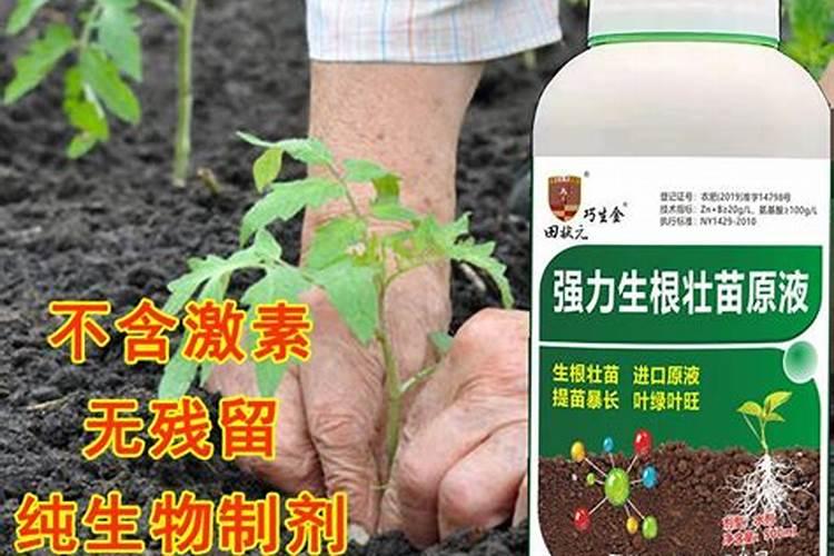 蔬菜叶面肥木醋液代理批发