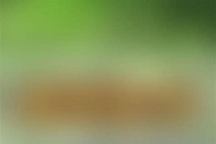 春天给果树施肥有什么注意事项吗