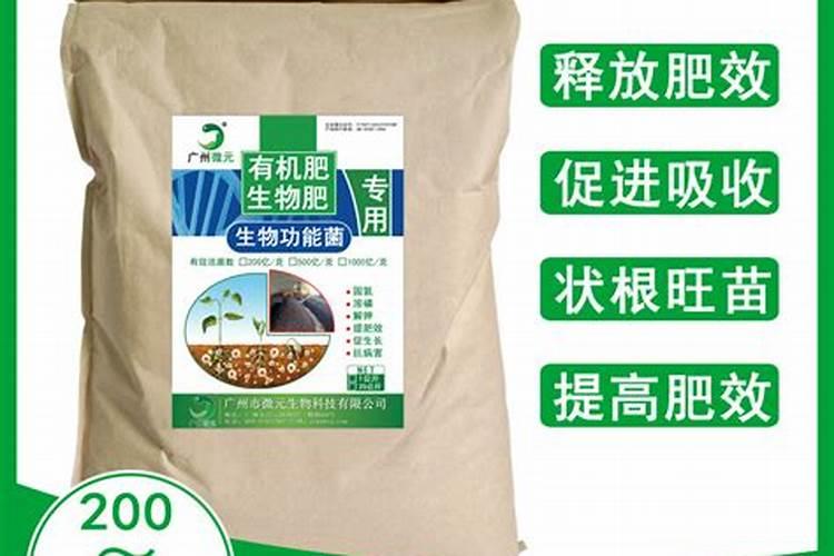 钙肥促进枝叶的生长吗