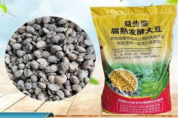 血液中钾含量低是什么原因