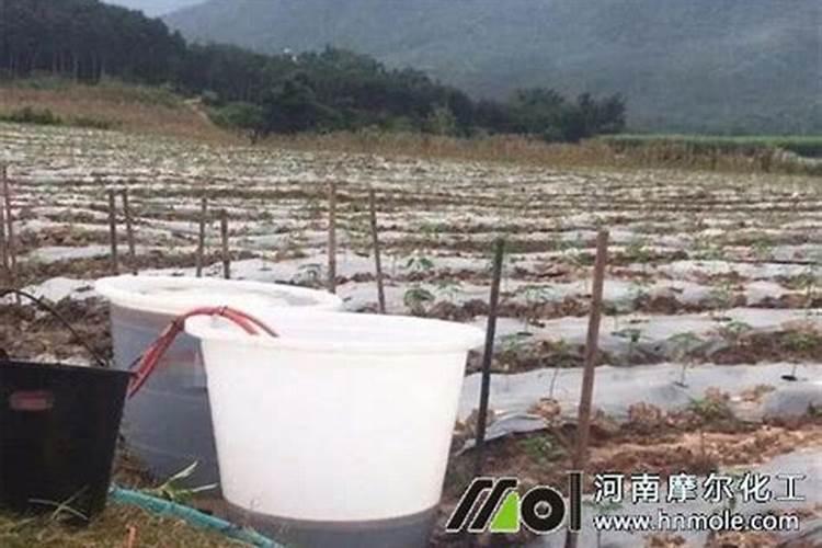冬季下雪天可以使用水溶肥吗