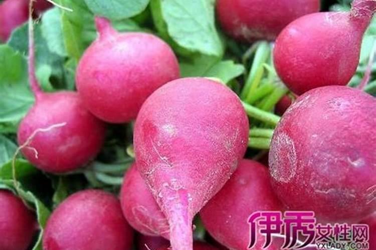 荔枝叶泡水里对乌龟有什么用？