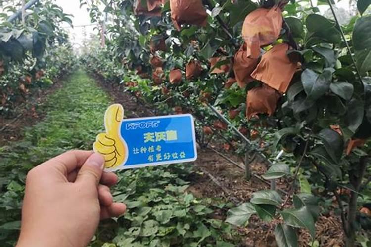 颗粒硼肥什么牌子的好