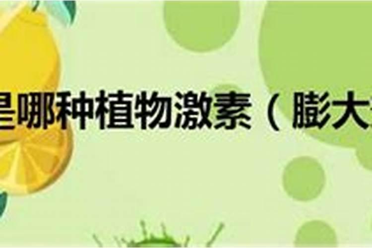 果树膨大期使用喜满地水溶肥可以吗