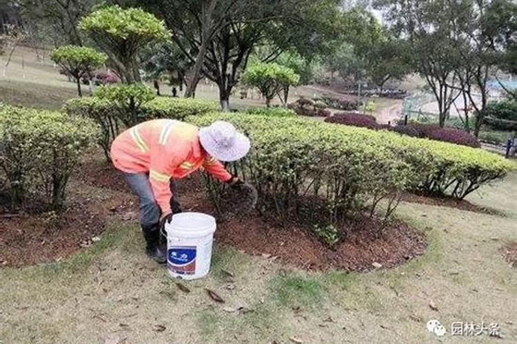 苗圃哪个季节施肥好