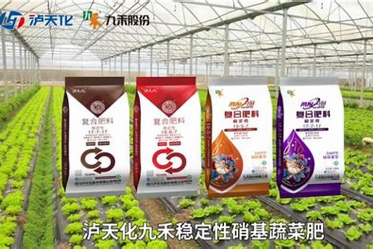 硅钙镁肥在辣椒上什么时候用