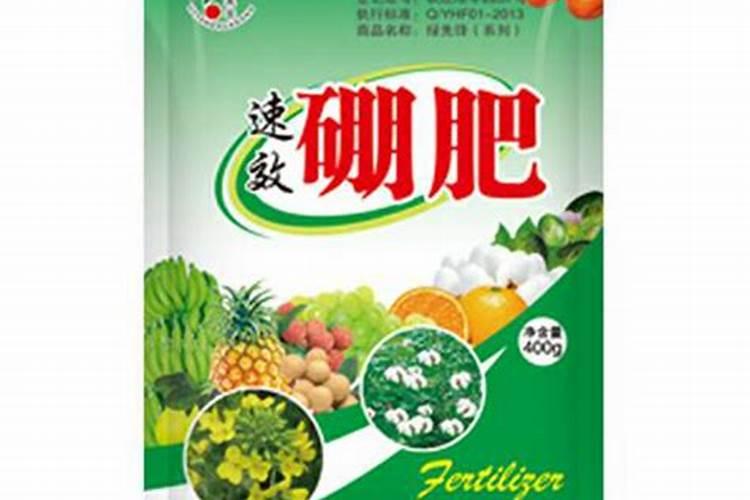 种植大豆如何施肥？中微肥专家苗生财