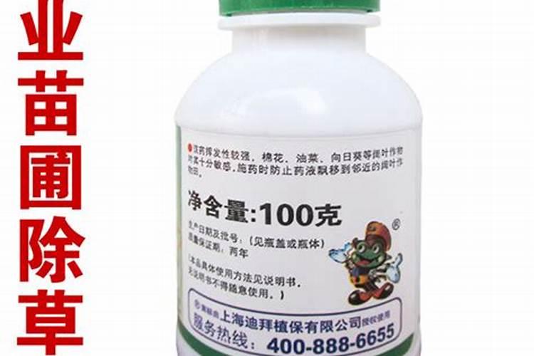 萱草为什么不开花
