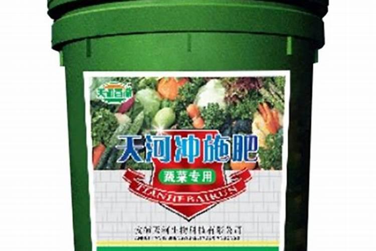 十大蛋白质的鱼排名