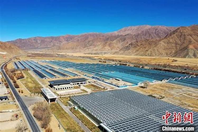 叶面肥有哪些牌子 排行榜都有哪些上榜