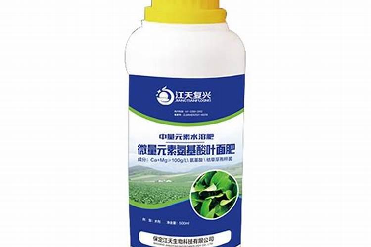 凤凰单丛茶如何种植？有什么加工工艺？