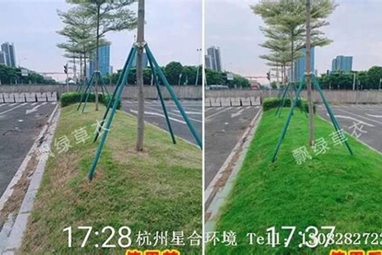 哪款酵母不含添加剂