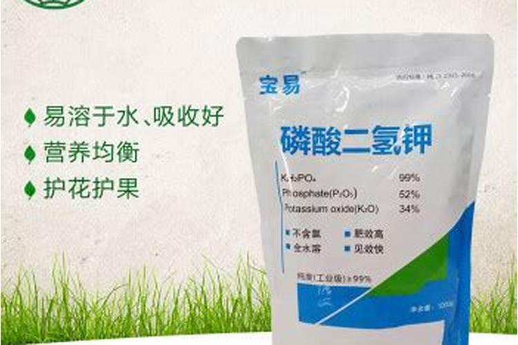 绿植有什么叶面肥
