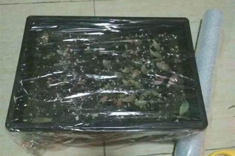 养花用肥知识、花肥的正确使用方法