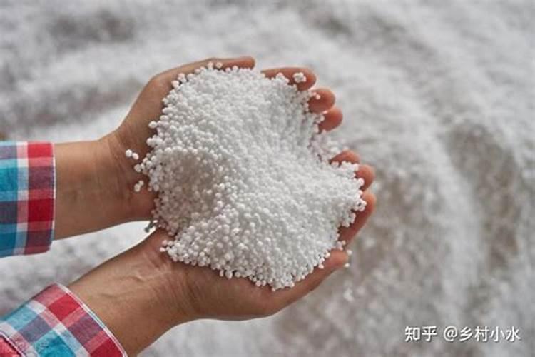 为什么春季多氮肥