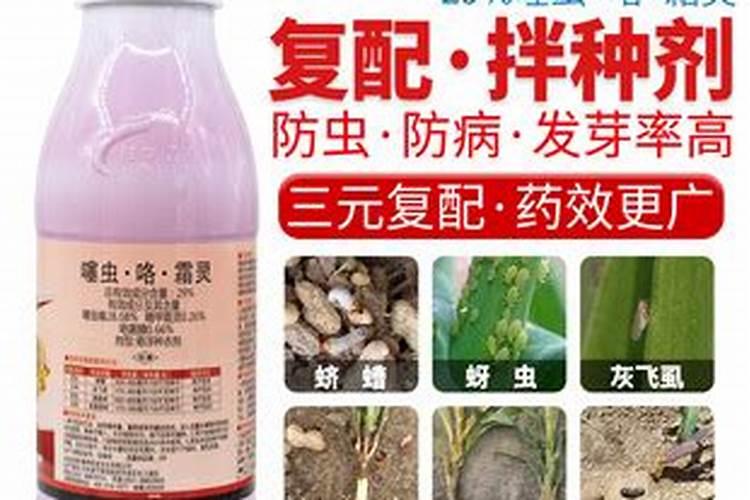 锌肥对玉米的作用