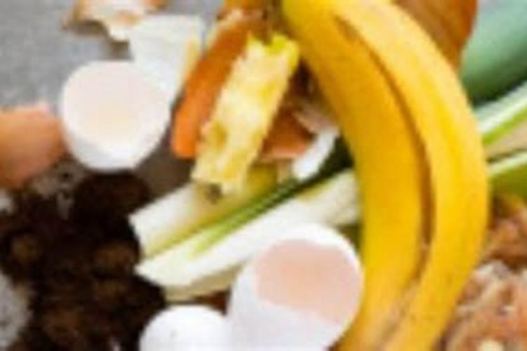 肥料哪种牌子的最好销售呢？