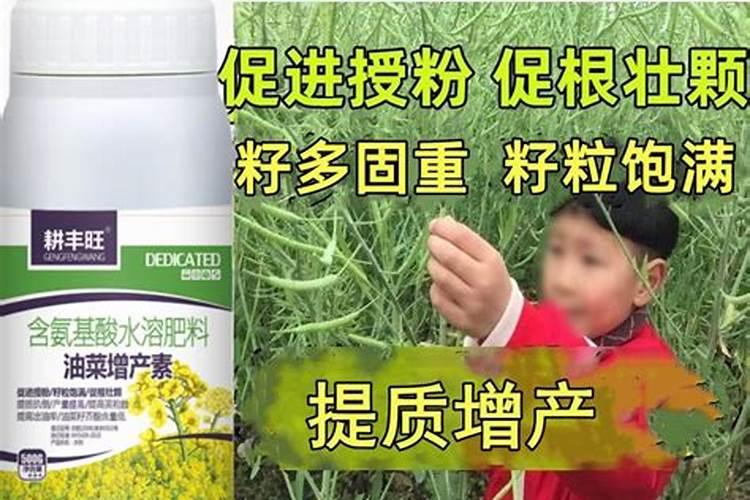 矿物油不能和哪些农药混用