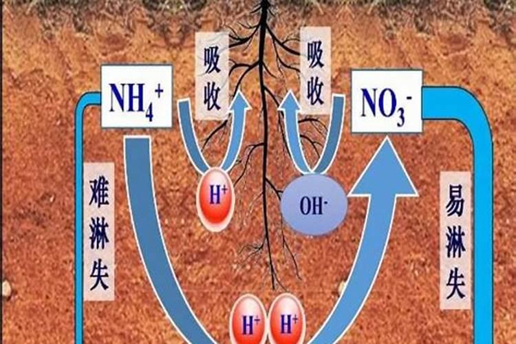氮肥损失途径有哪些？